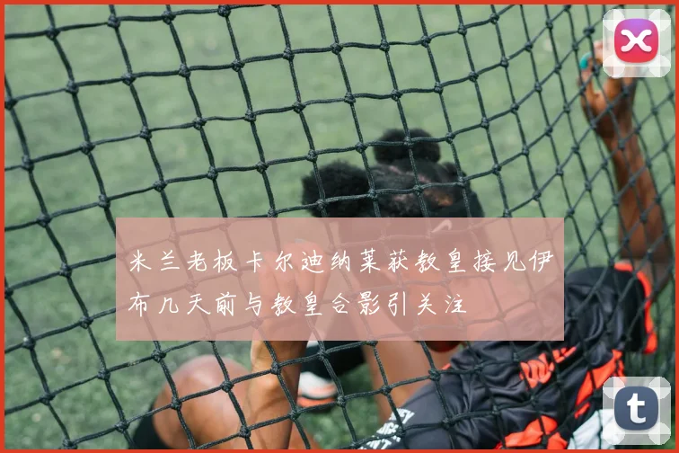 米兰老板卡尔迪纳莱获教皇接见伊布几天前与教皇合影引关注