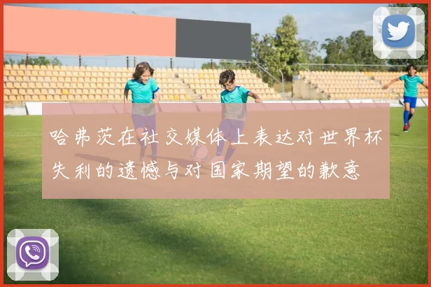 哈弗茨在社交媒体上表达对世界杯失利的遗憾与对国家期望的歉意