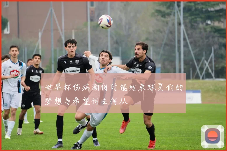 世界杯伤病潮何时能结束球员们的梦想与希望何去何从
